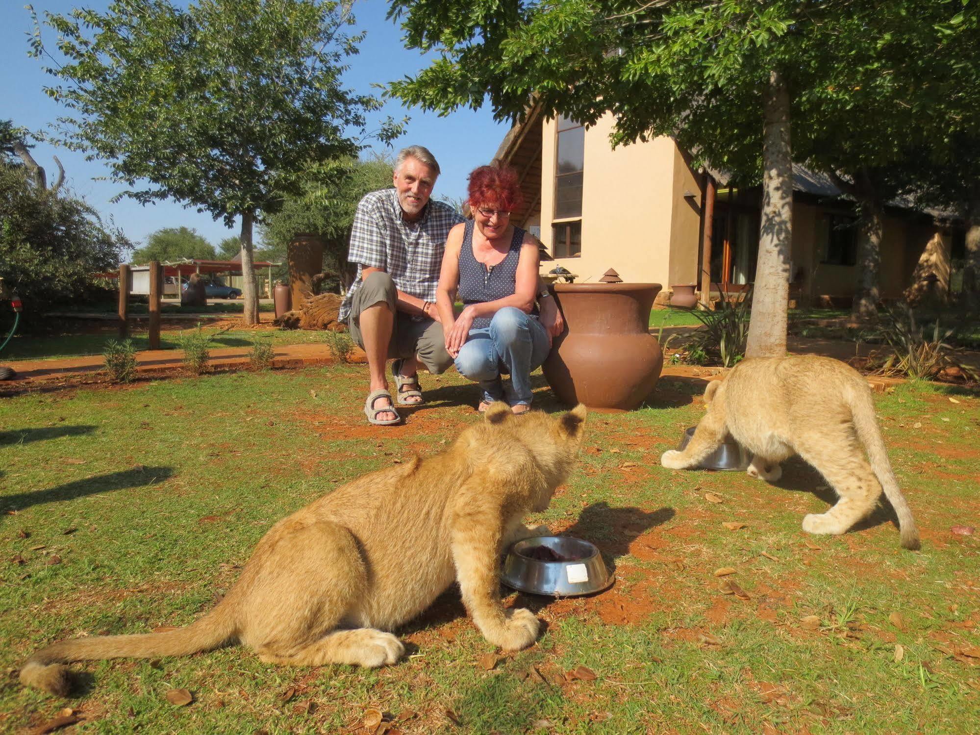 Bona Bona Game Lodge Wolmaransstad Luaran gambar