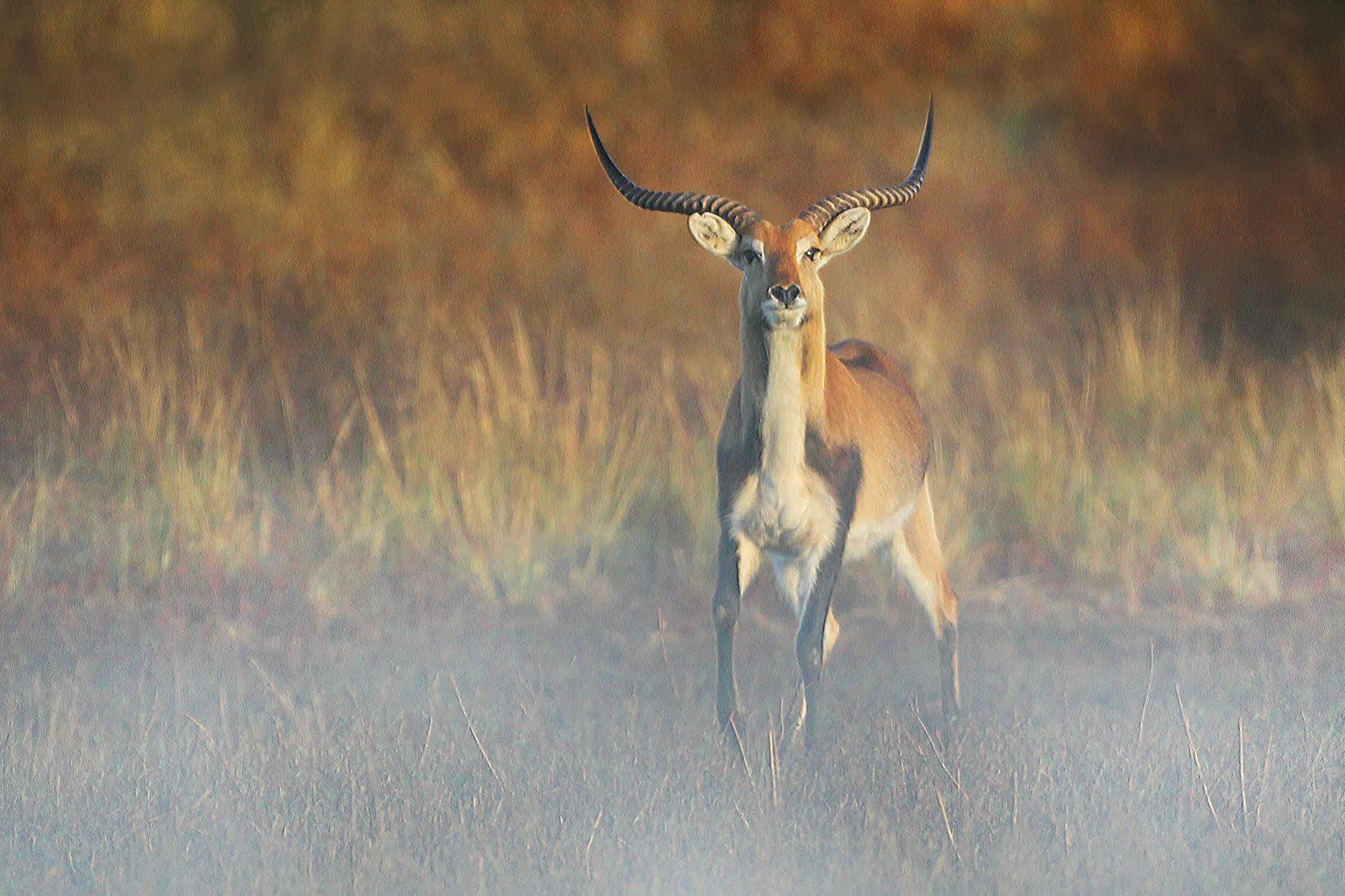 Bona Bona Game Lodge Wolmaransstad Luaran gambar