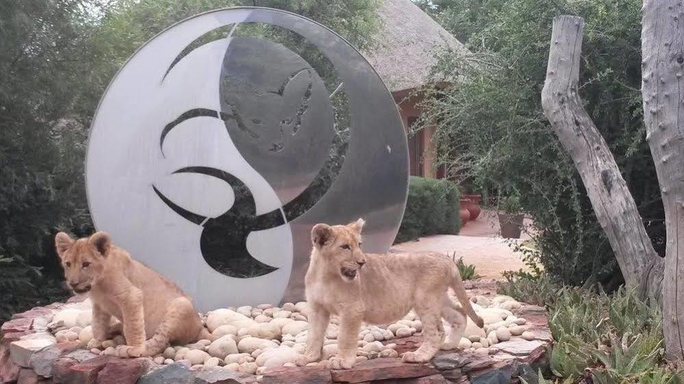 Bona Bona Game Lodge Wolmaransstad Luaran gambar