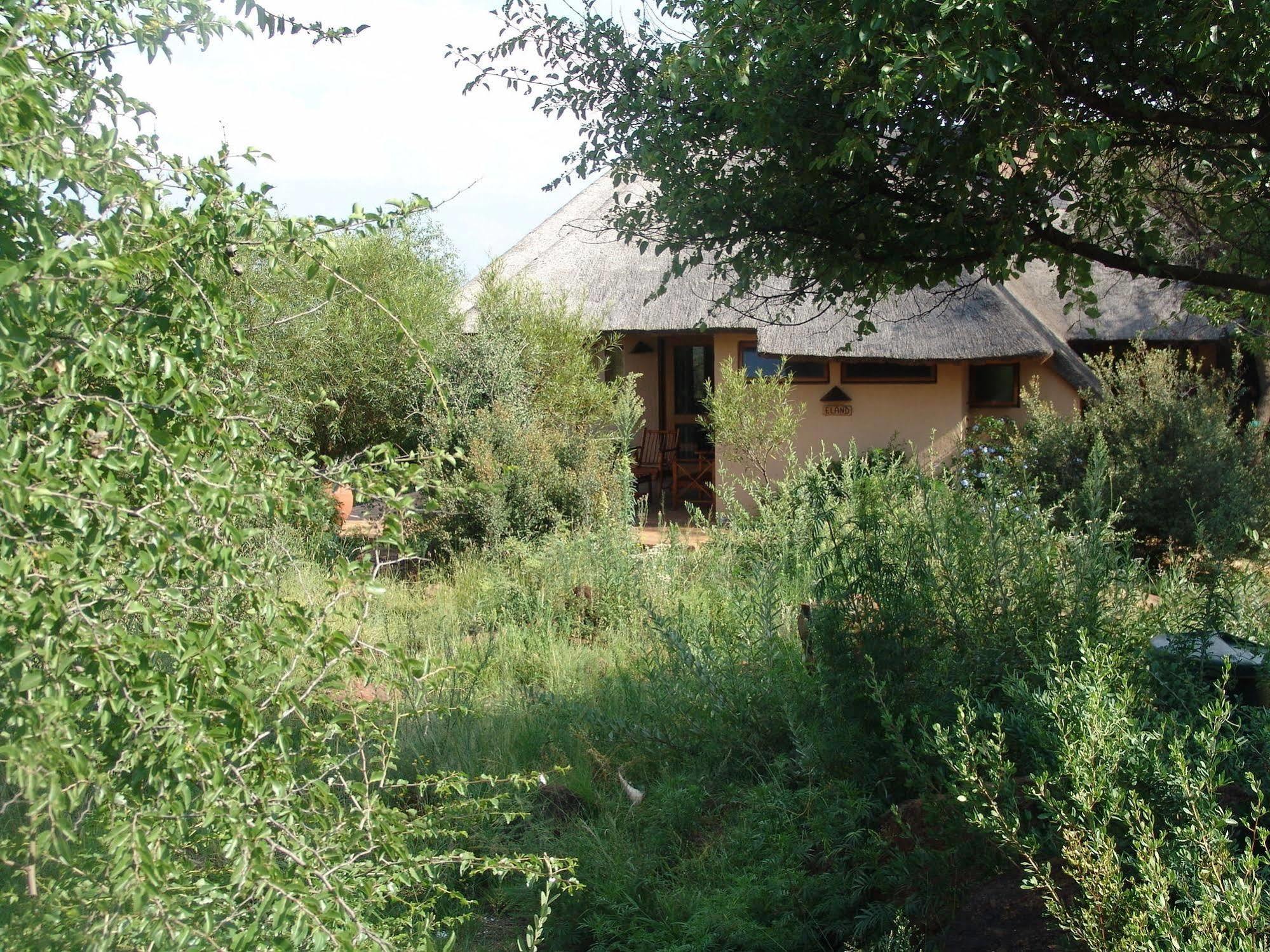 Bona Bona Game Lodge Wolmaransstad Luaran gambar
